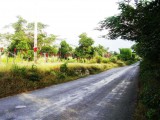 Fullerswood Main Road, St. Elizabeth, Jamaica - Commercial/farm land for Lease/rental